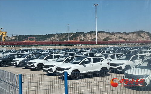 做強蘭州樞紐品牌，構(gòu)建高質(zhì)量發(fā)展快速引擎——房屋租賃助力城市新升級